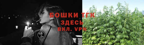 мдпв Мегион
